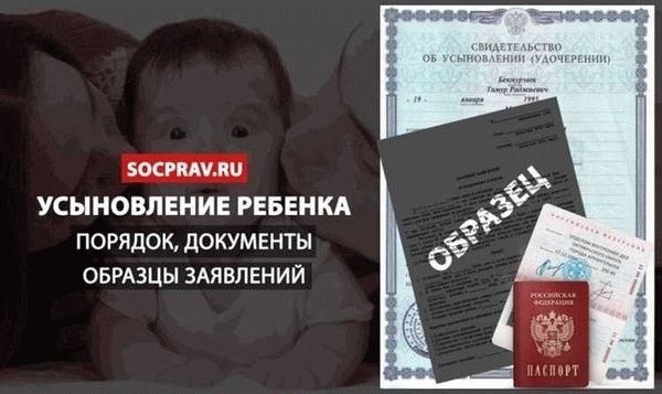 Условия, порядок действий и необходимые документы для усыновления ребенка жены без наличия собственного жилья