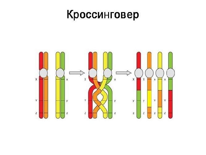 Домашнее задание: