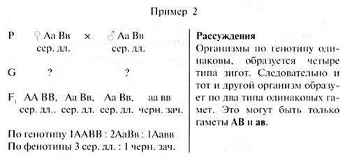 Эксперимент Т. Моргана: история основного препятствия в законе о нарушении Моргана