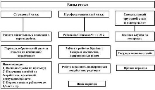 Классификация вида трудовой деятельности по практике