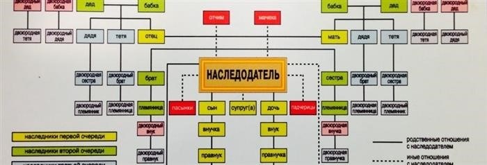 Право на наследование у неполнородных родственников