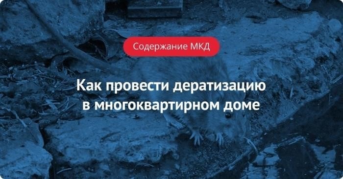 Изучить санитарно-эпидемиологические требования