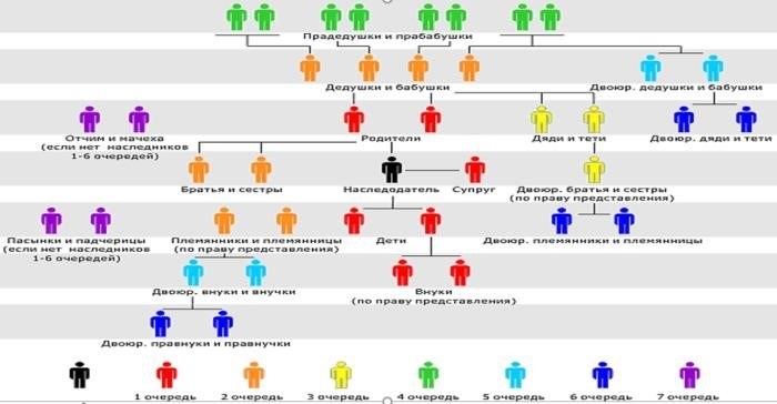 Какие права имеют ближайшие родственники в случае наследства внуками?